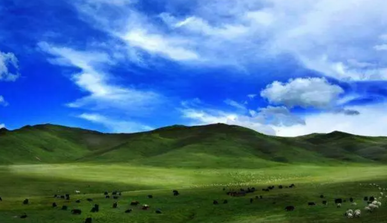 拉尕山-恩诺 甘南旅游攻略